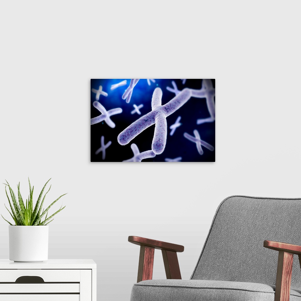 A modern room featuring Microscopic view of chromosome.