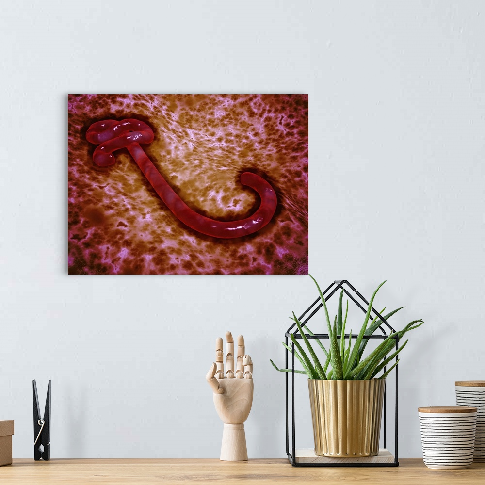 A bohemian room featuring Microscopic view of ebola virus.