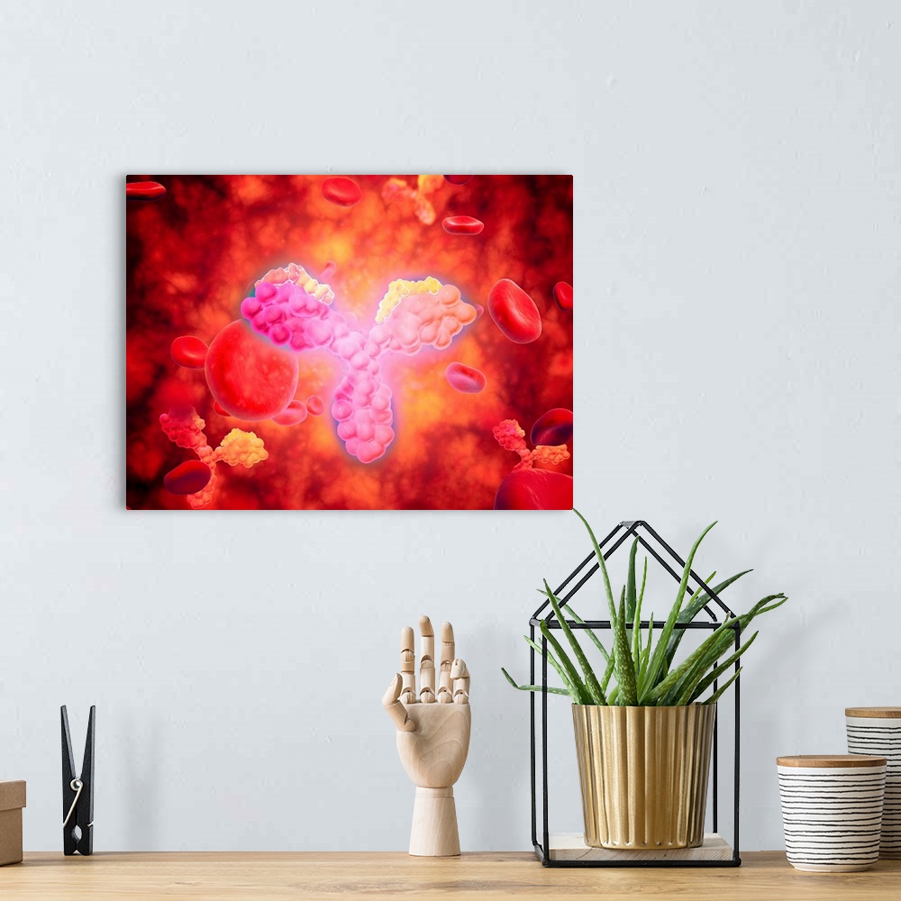A bohemian room featuring Microscopic view of human anitbodies with red blood cells. Human antibodies are the Y-shaped prot...