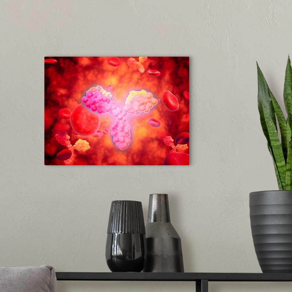 A modern room featuring Microscopic view of human anitbodies with red blood cells. Human antibodies are the Y-shaped prot...