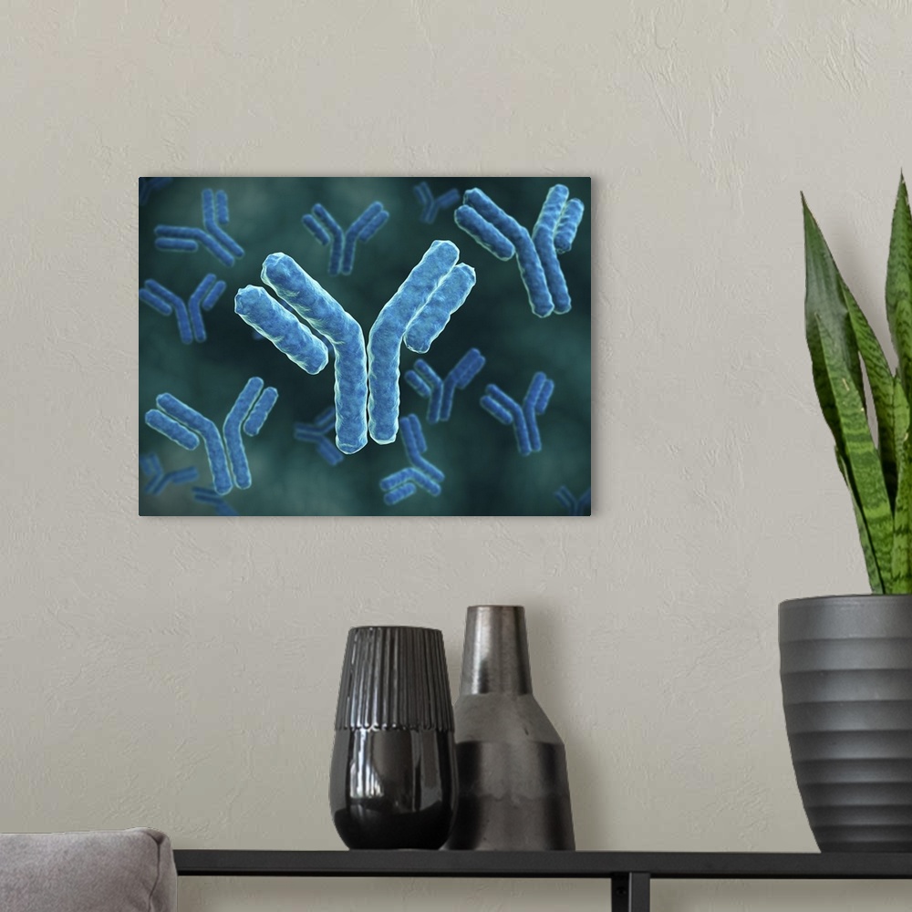 A modern room featuring Microscopic view of immunoglobulin G antibodies