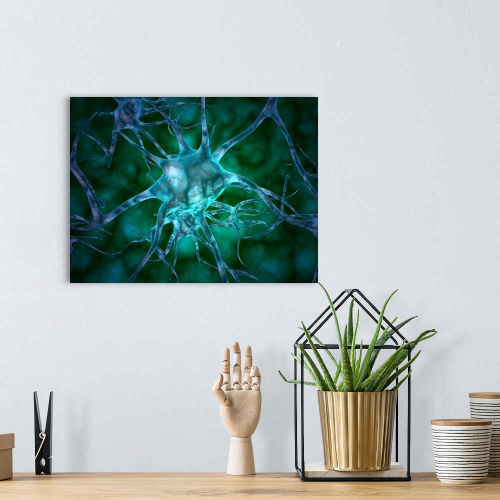 A bohemian room featuring Microscopic view of multiple nerve cells, which are also called neurons. These are responsible fo...