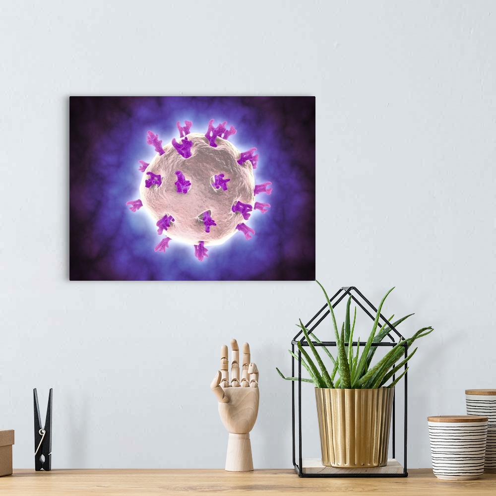 A bohemian room featuring Microscopic view of rotavirus. Rotavirus is the most common cause of severe diarrhea among infant...
