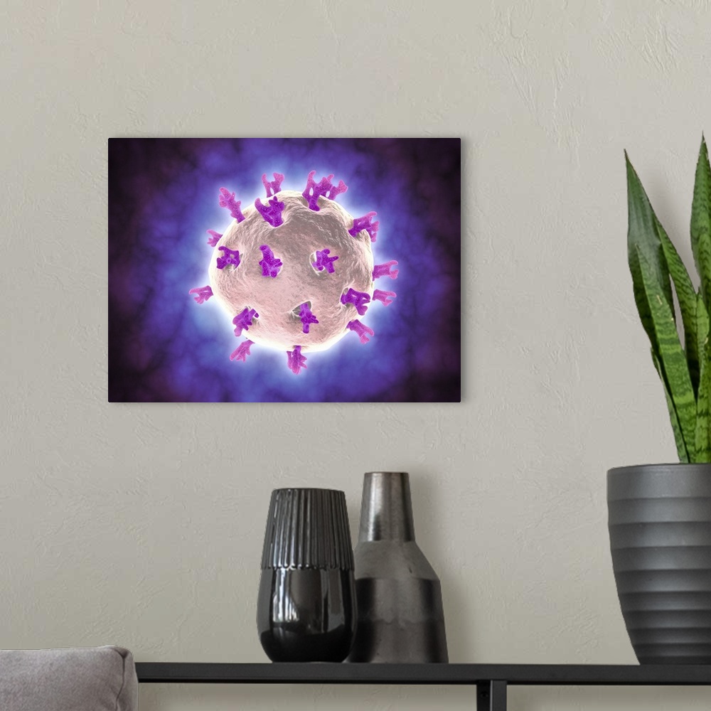 A modern room featuring Microscopic view of rotavirus. Rotavirus is the most common cause of severe diarrhea among infant...