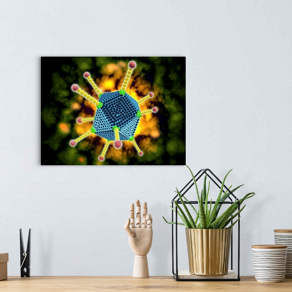 A bohemian room featuring Conceptual image of the common cold virus. The common cold virus is an infectious disease typical...