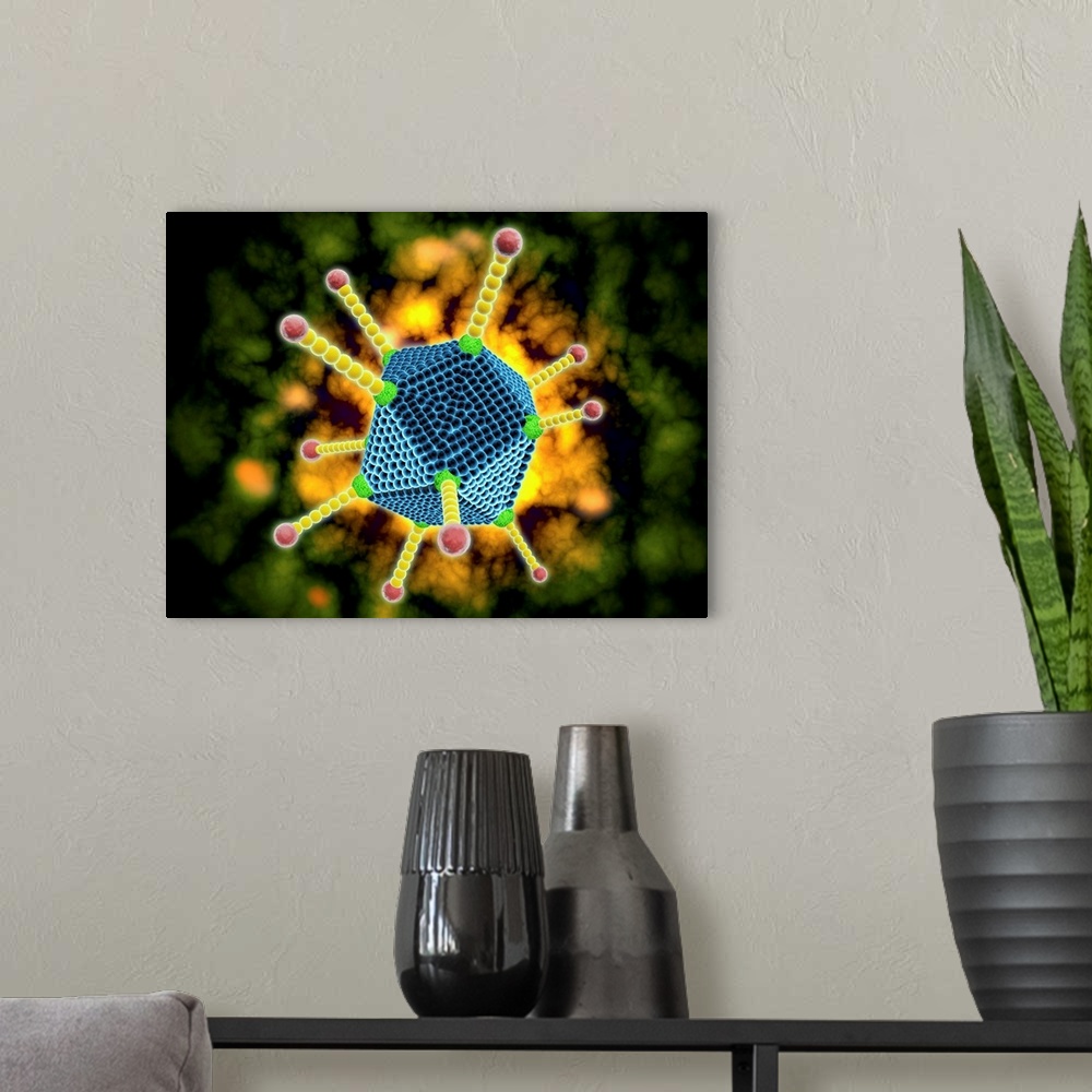 A modern room featuring Conceptual image of the common cold virus. The common cold virus is an infectious disease typical...