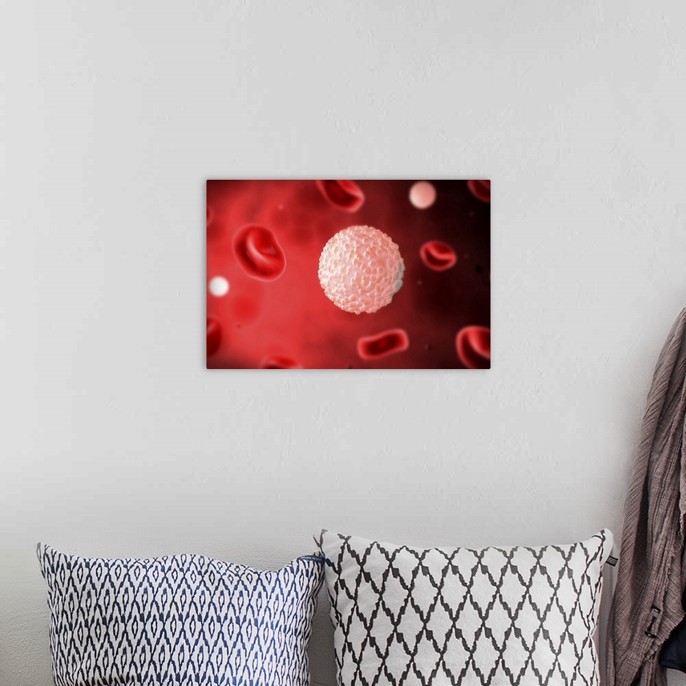 A bohemian room featuring Microscopic view of white blood cells inside blood vessel.