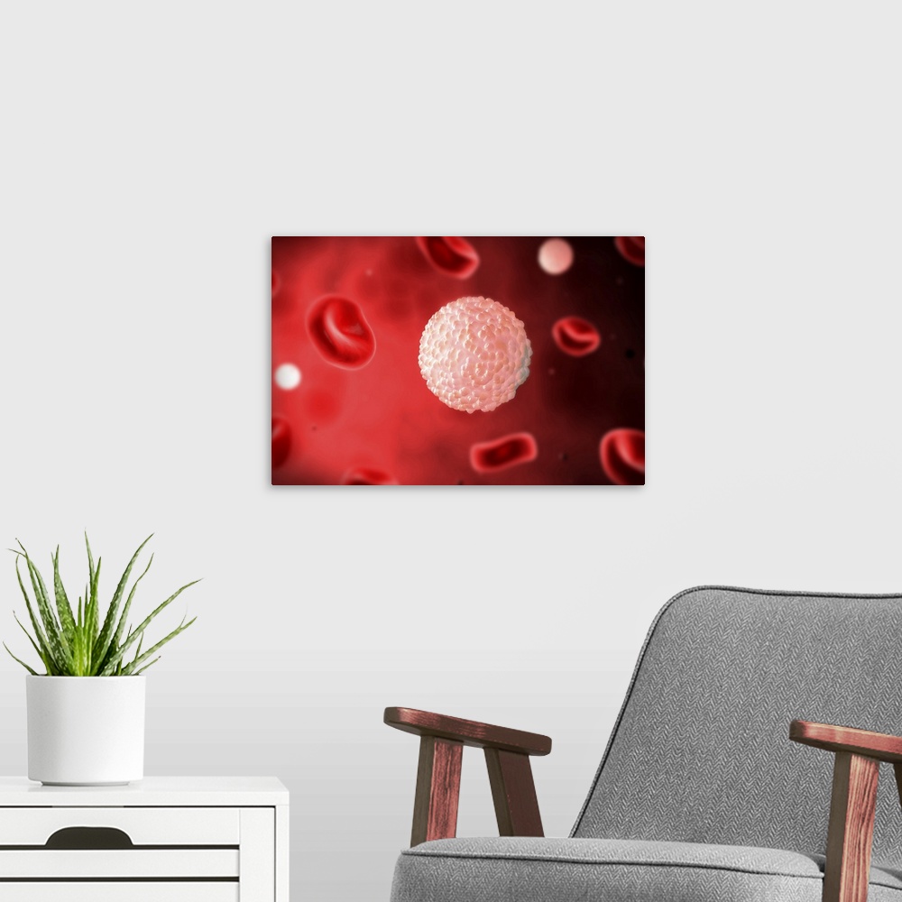 A modern room featuring Microscopic view of white blood cells inside blood vessel.