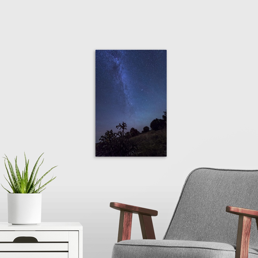 A modern room featuring The Milky Way rises over a hill of scrub brush and cacti at the Okie-Tex Star Party near Kenton, ...