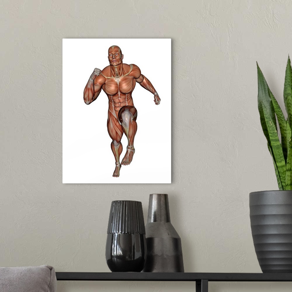 A modern room featuring Muscular man running, isolated on white background.