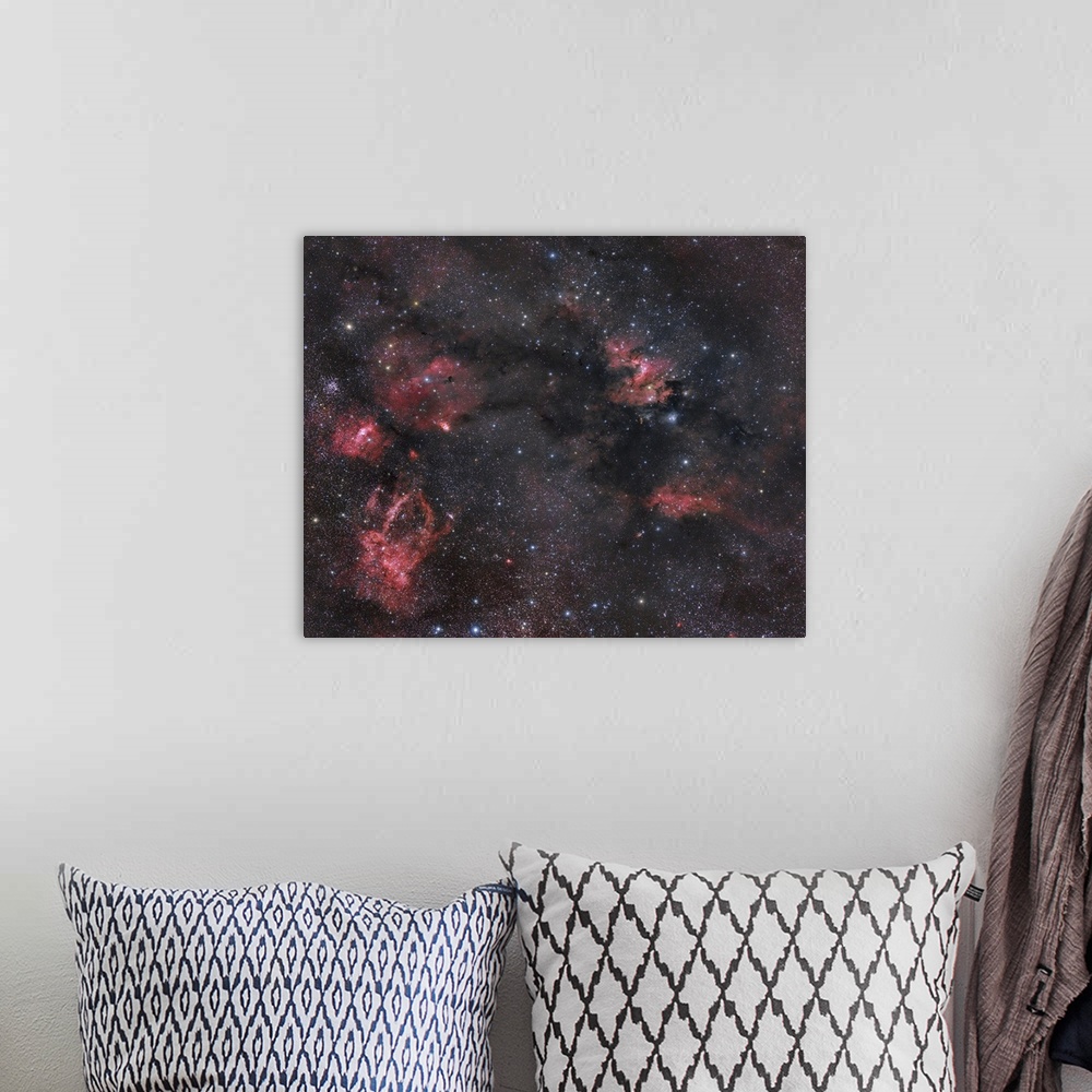 A bohemian room featuring Lots of dust and gas nebulosity within the Cepheus constellation.