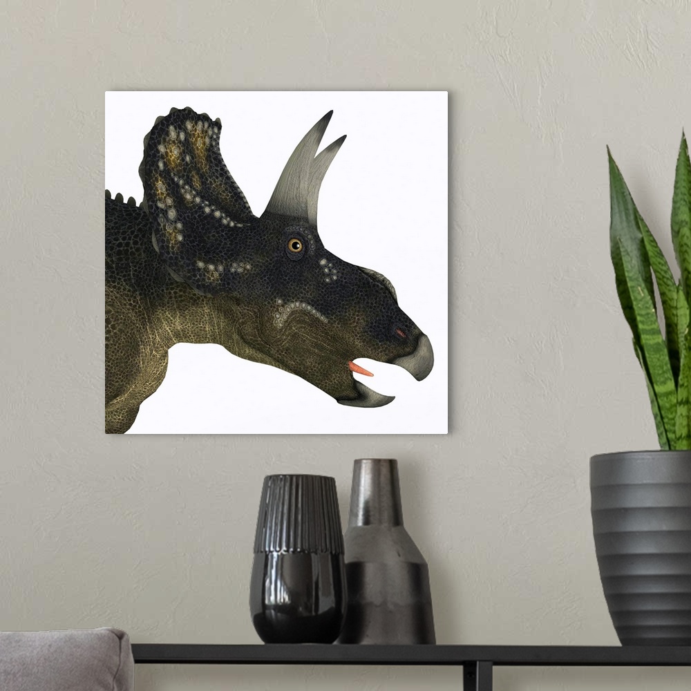 A modern room featuring Nedoceratops portrait. Nedoceratops is a herbivorous ceratopsian dinosaur that lived in the Creta...