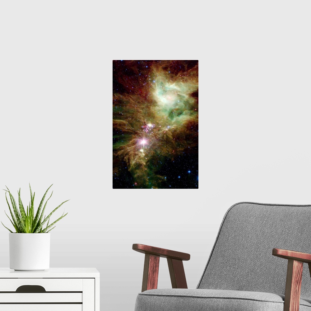 A modern room featuring Portrait, large wall picture of many stars in the Christmas Tree cluster.