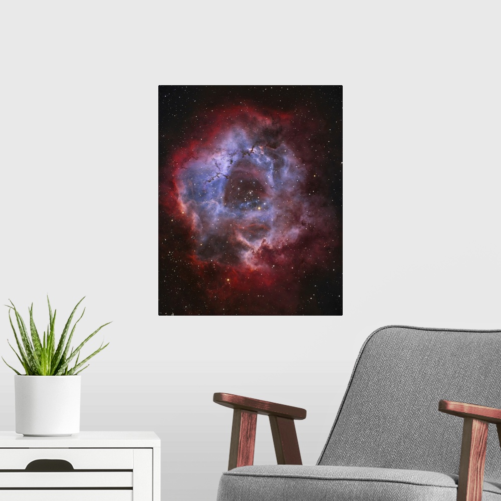 A modern room featuring NGC 2237, the Rosette Nebula.