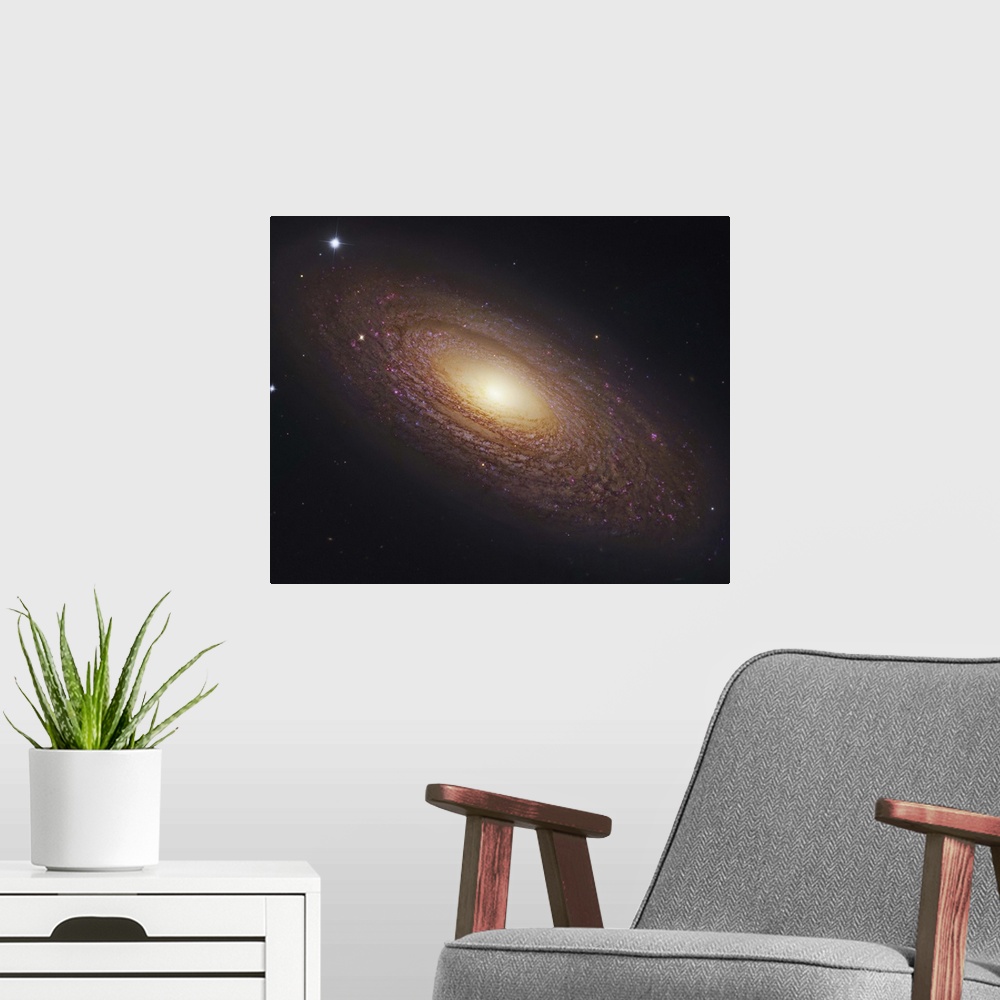 A modern room featuring NGC 2841, spiral galaxy in Ursa Major. NGC 2841 is a compact flocculent spiral galaxy, a member o...