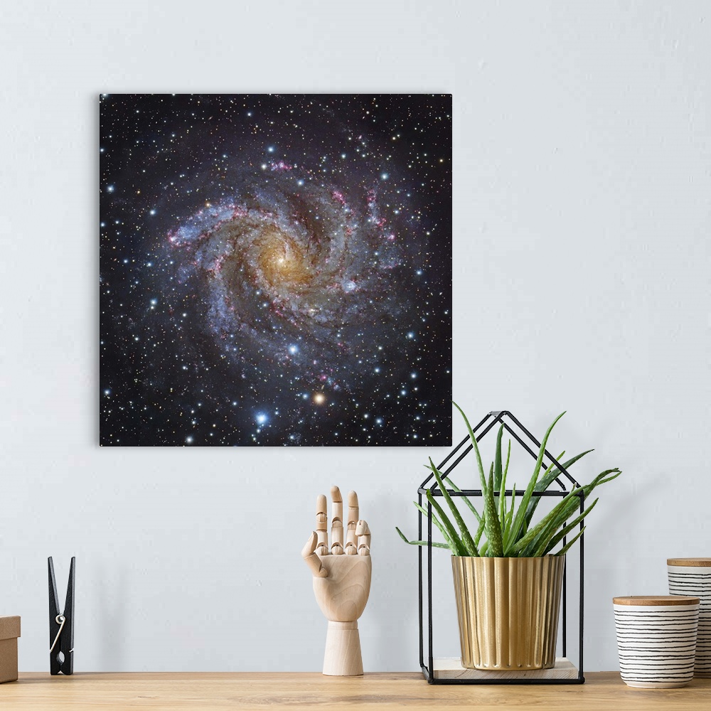 A bohemian room featuring NGC 6946, a spiral galaxy in Cepheus.