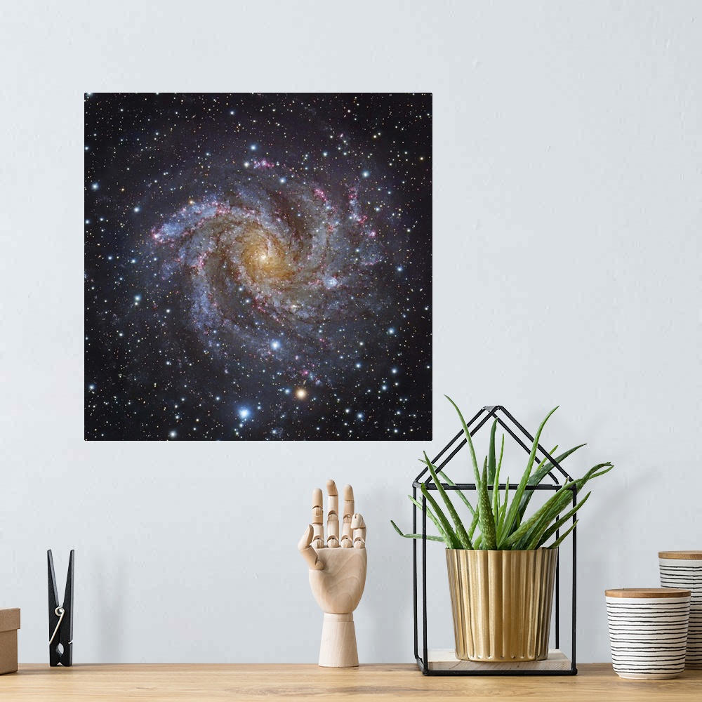 A bohemian room featuring NGC 6946, a spiral galaxy in Cepheus.
