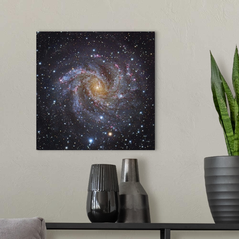 A modern room featuring NGC 6946, a spiral galaxy in Cepheus.