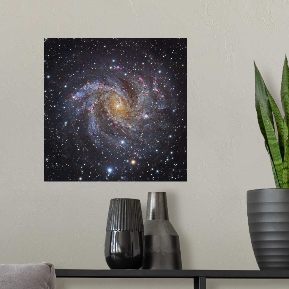 A modern room featuring NGC 6946, a spiral galaxy in Cepheus.