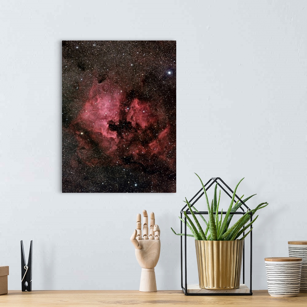 A bohemian room featuring NGC 7000, The North America Nebula And Pelican Nebula