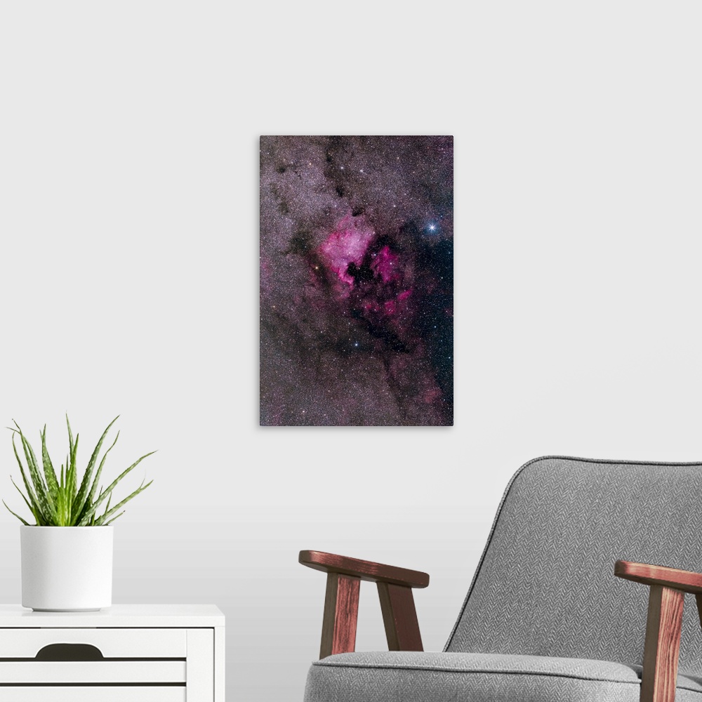 A modern room featuring NGC 7000, the North America Nebula, in the constellation Cygnus.