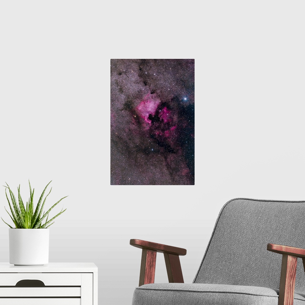 A modern room featuring NGC 7000, the North America Nebula, in the constellation Cygnus.