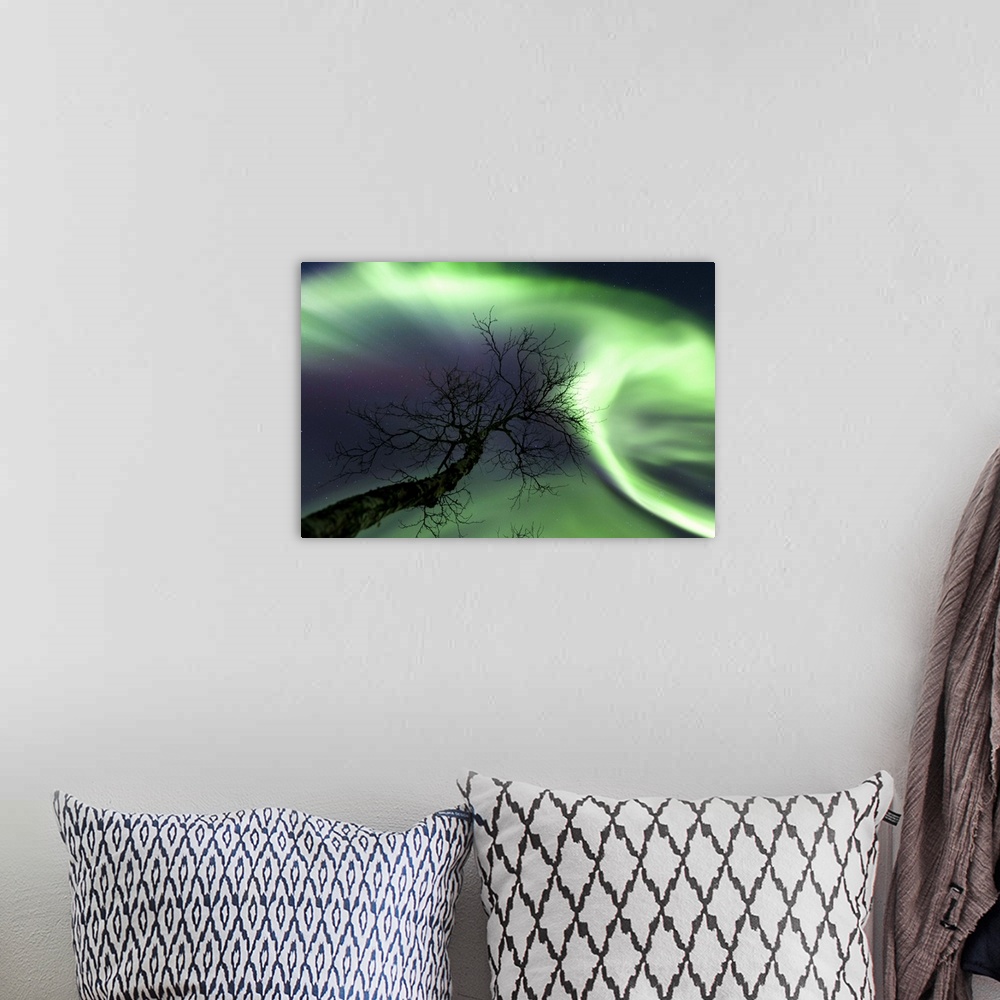 A bohemian room featuring Northern Lights in the arctic wilderness, Nordland, Norway.