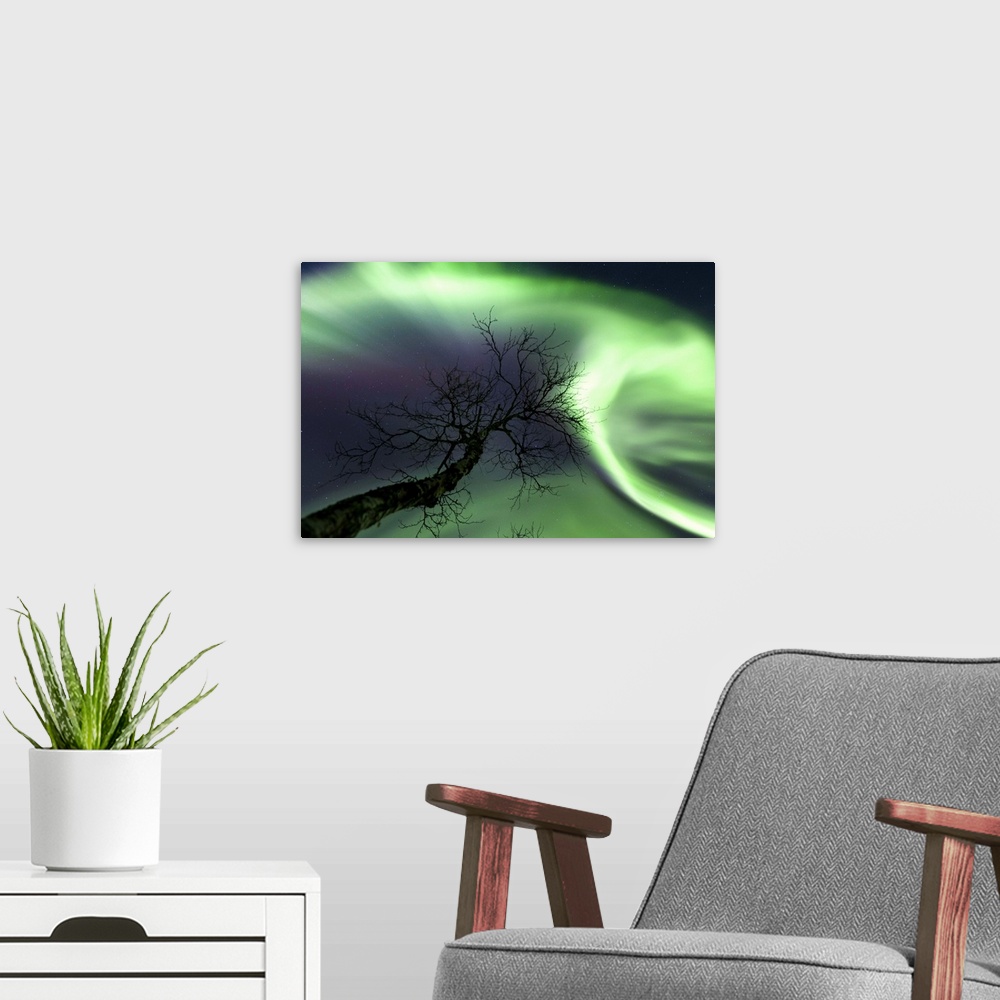 A modern room featuring Northern Lights in the arctic wilderness, Nordland, Norway.