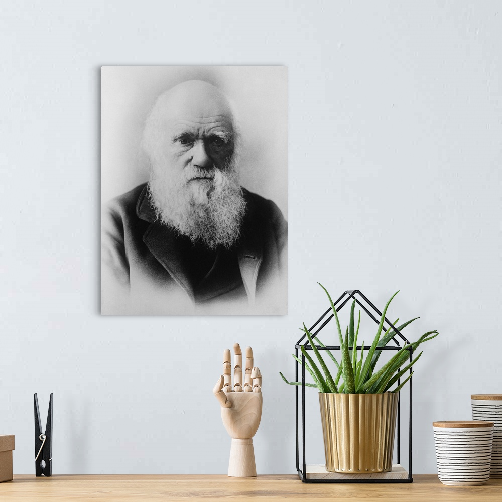A bohemian room featuring Portrait of Charles Darwin, dated 1879.