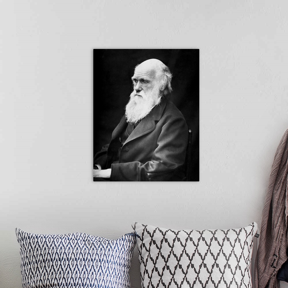 A bohemian room featuring Portrait of naturalist and geologist Charles Darwin.