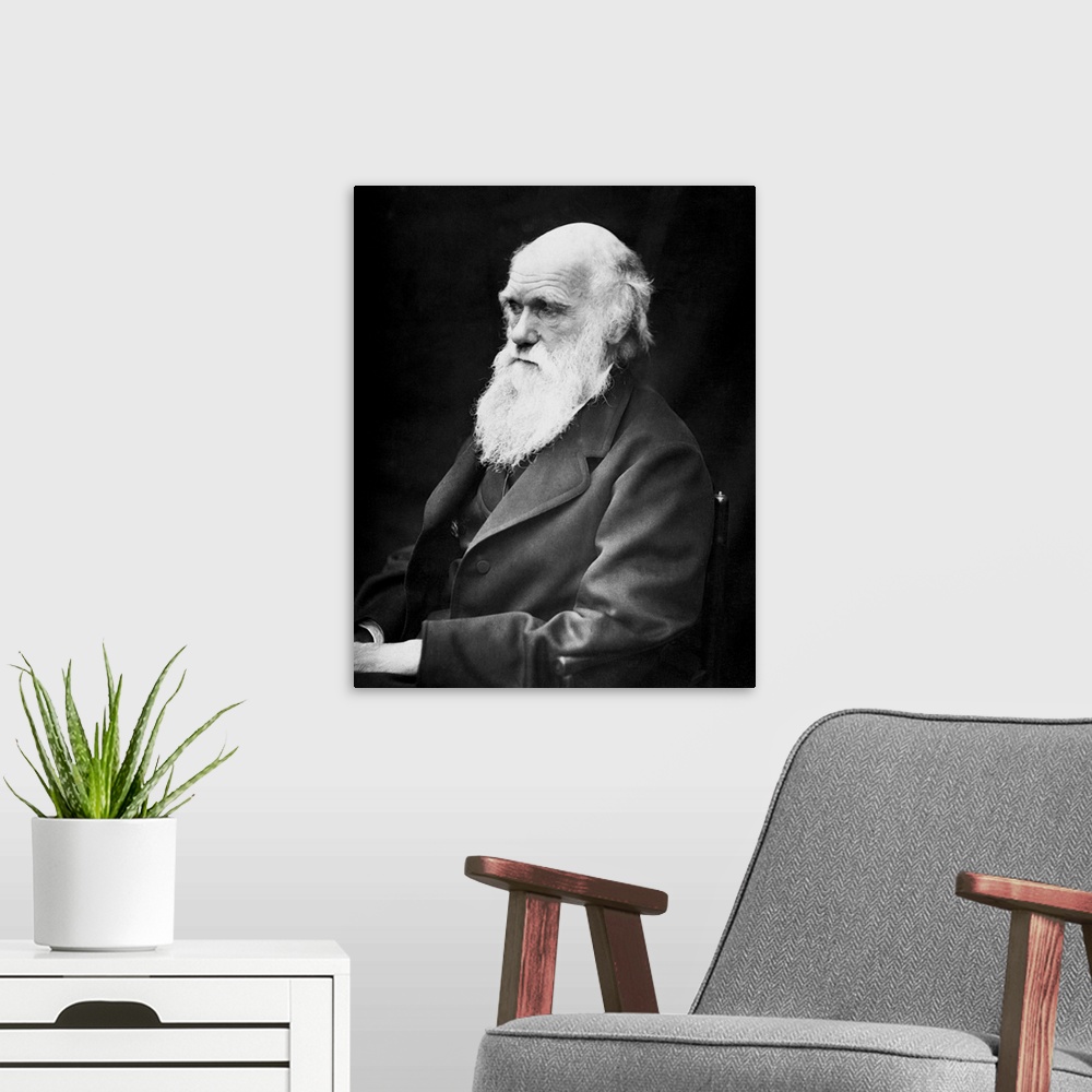 A modern room featuring Portrait of naturalist and geologist Charles Darwin.