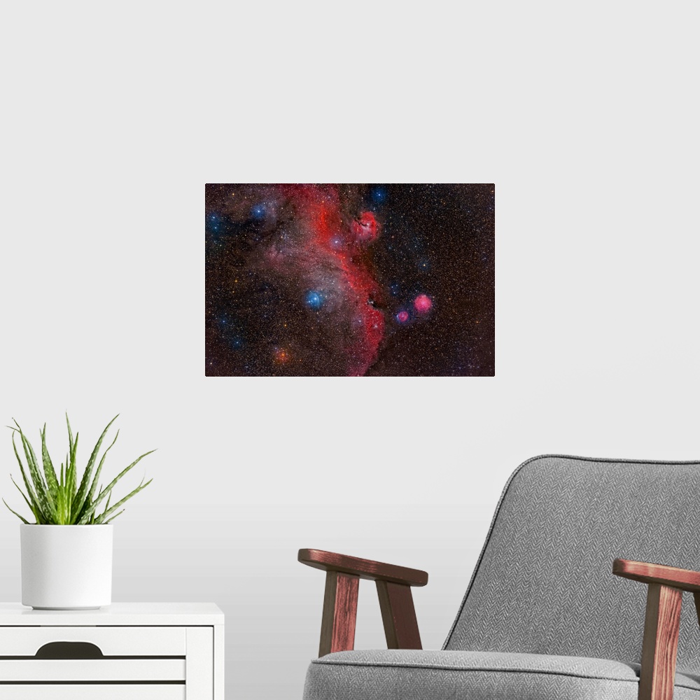 A modern room featuring Seagull Nebula, IC 2177