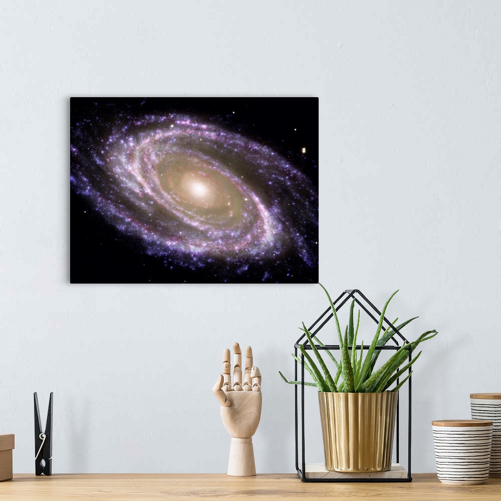 A bohemian room featuring Spiral galaxy Messier 81