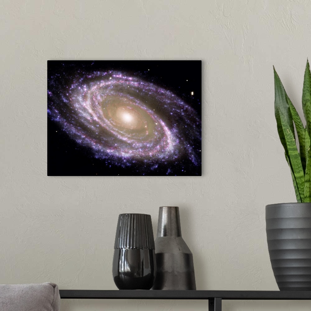 A modern room featuring Spiral galaxy Messier 81
