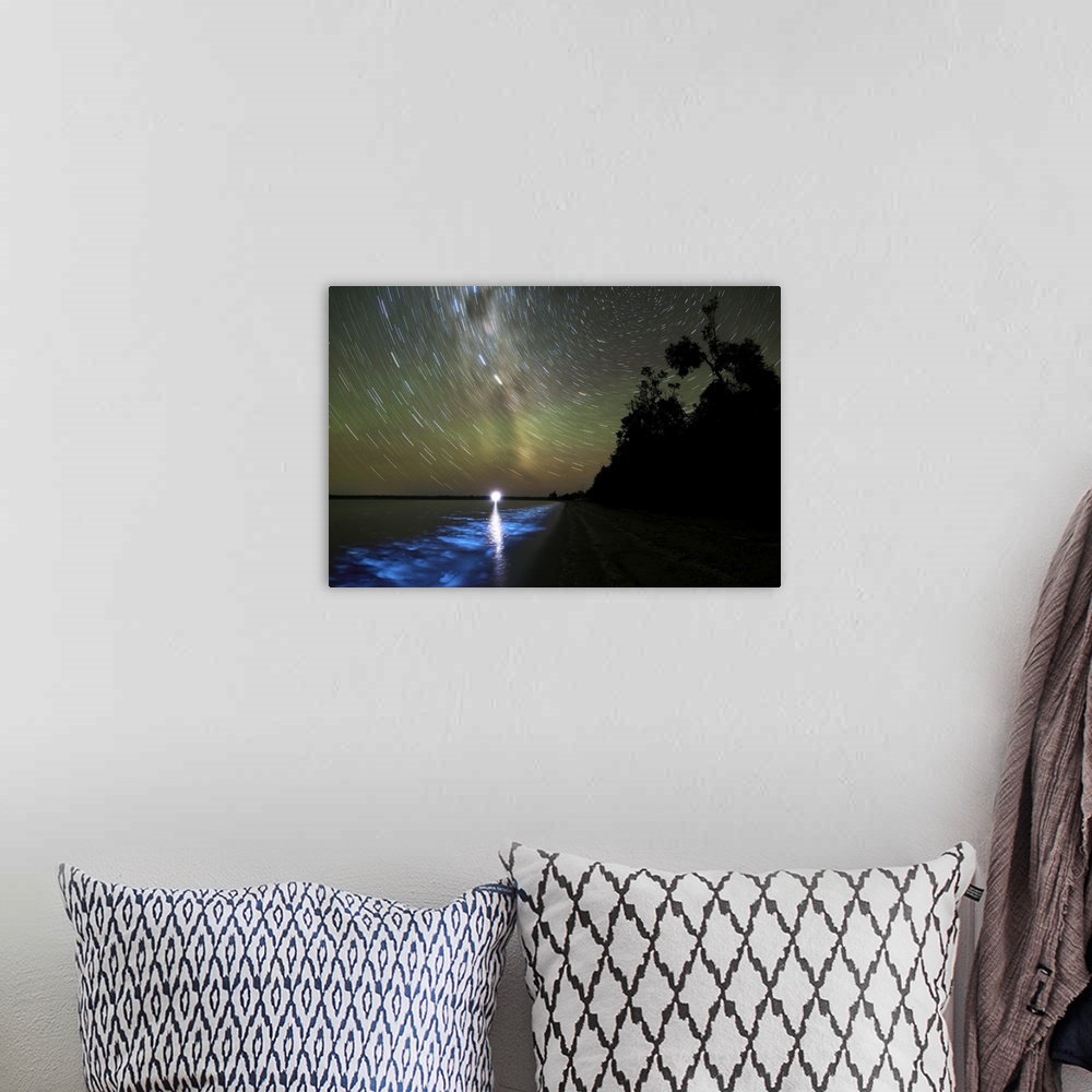A bohemian room featuring Star trails and bioluminescence, Gippsland Lakes, Australia.