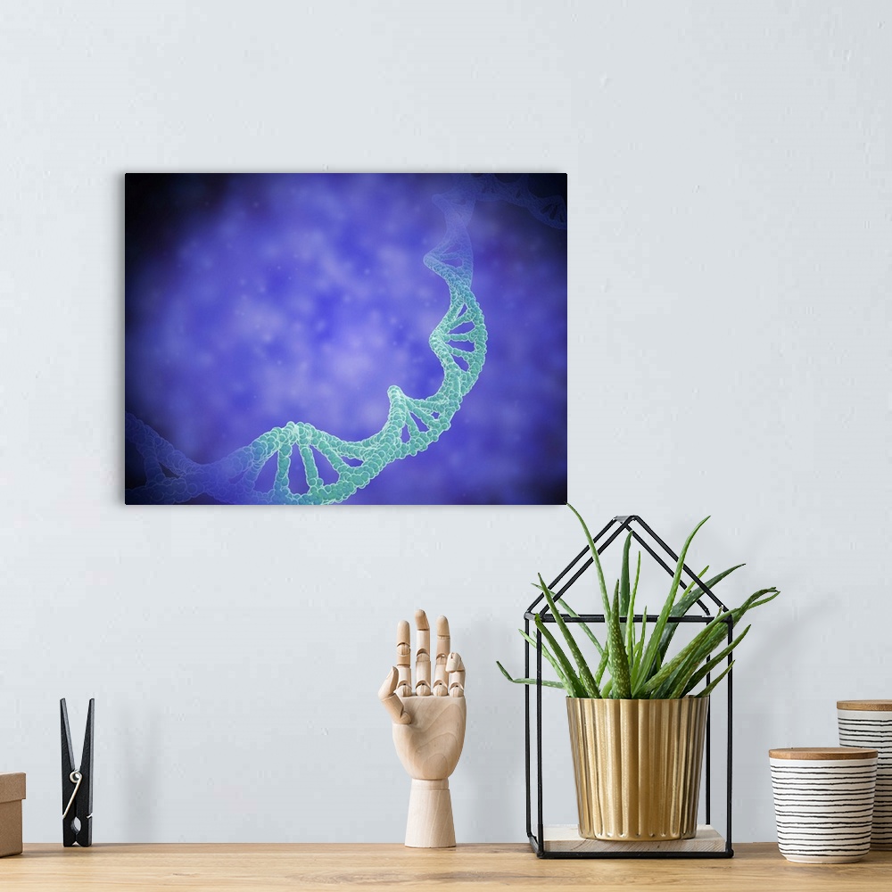 A bohemian room featuring Stylized view of strands of human DNA or deoxyribonucleic acid.