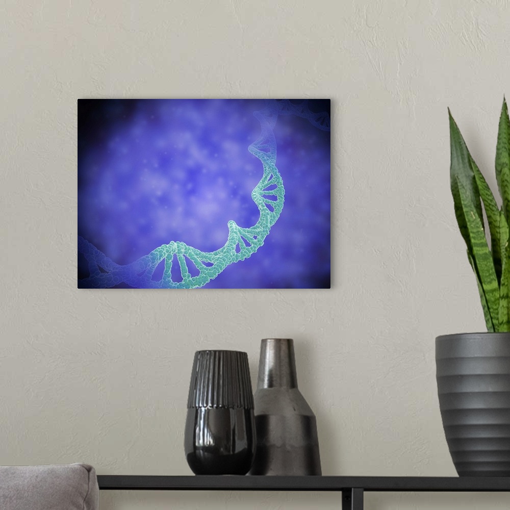 A modern room featuring Stylized view of strands of human DNA or deoxyribonucleic acid.