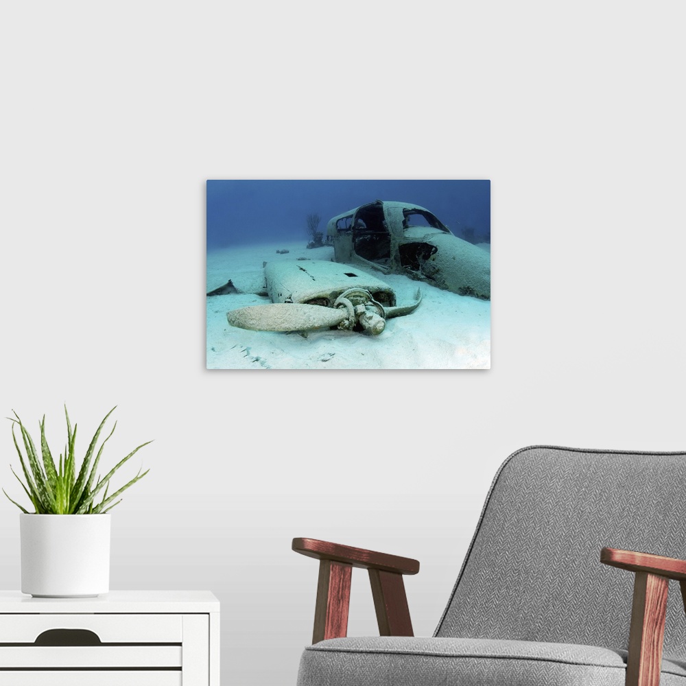 A modern room featuring Sunken plane from the film Jaws 4, Nassau, The Bahamas.