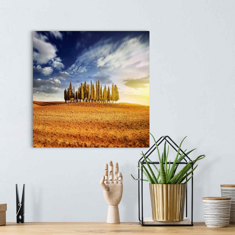 A bohemian room featuring Sunset in a golden field with a row of cypress trees, Italy, Tuscany.