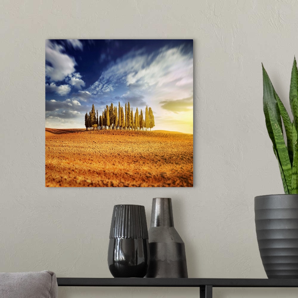 A modern room featuring Sunset in a golden field with a row of cypress trees, Italy, Tuscany.