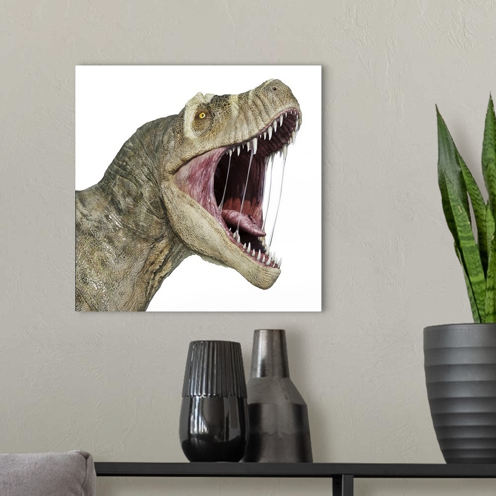 A modern room featuring T-rex head with open mouth, isolated on white background.