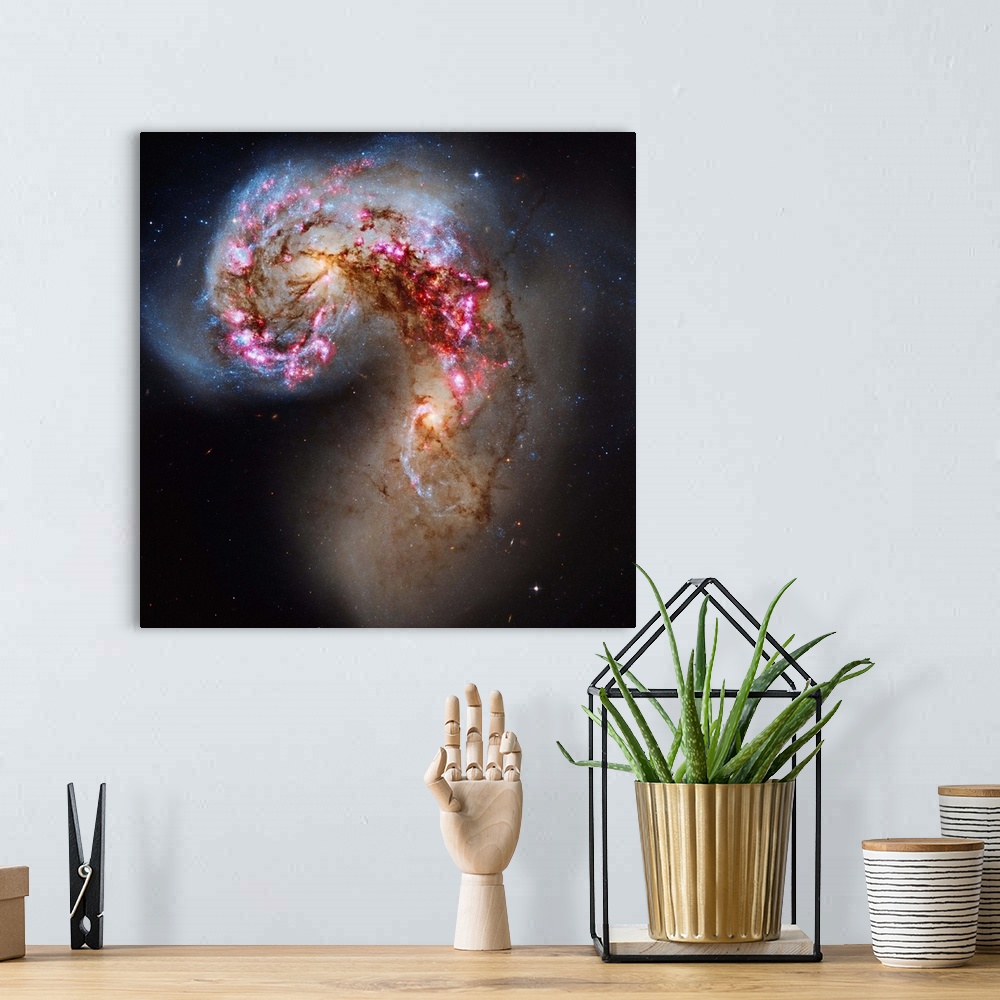 A bohemian room featuring The Antennae galaxies, also known as NGC 4038/NGC 4039, are a pair of interacting galaxies in the...