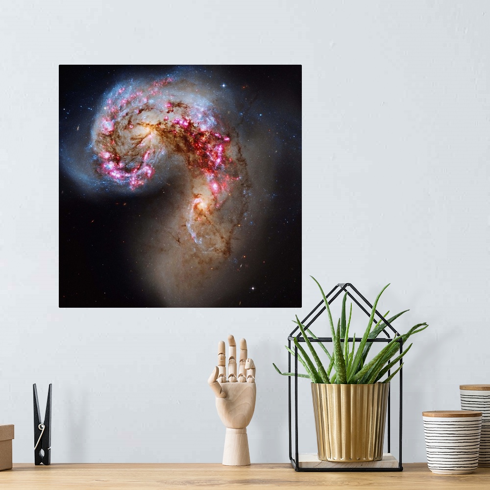 A bohemian room featuring The Antennae galaxies, also known as NGC 4038/NGC 4039, are a pair of interacting galaxies in the...