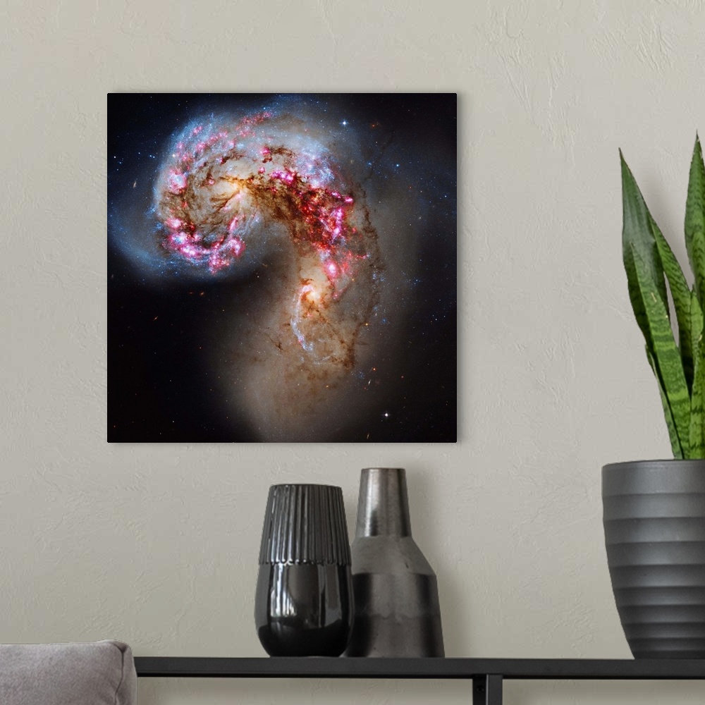 A modern room featuring The Antennae galaxies, also known as NGC 4038/NGC 4039, are a pair of interacting galaxies in the...