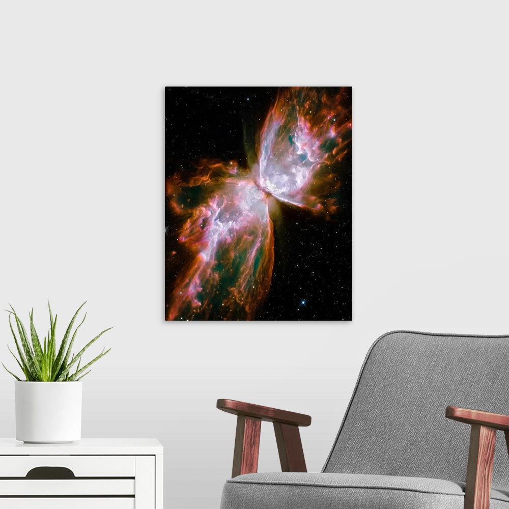 A modern room featuring Photograph of interstellar cloud of dust, hydrogen, and helium that is shaped like a winged insec...