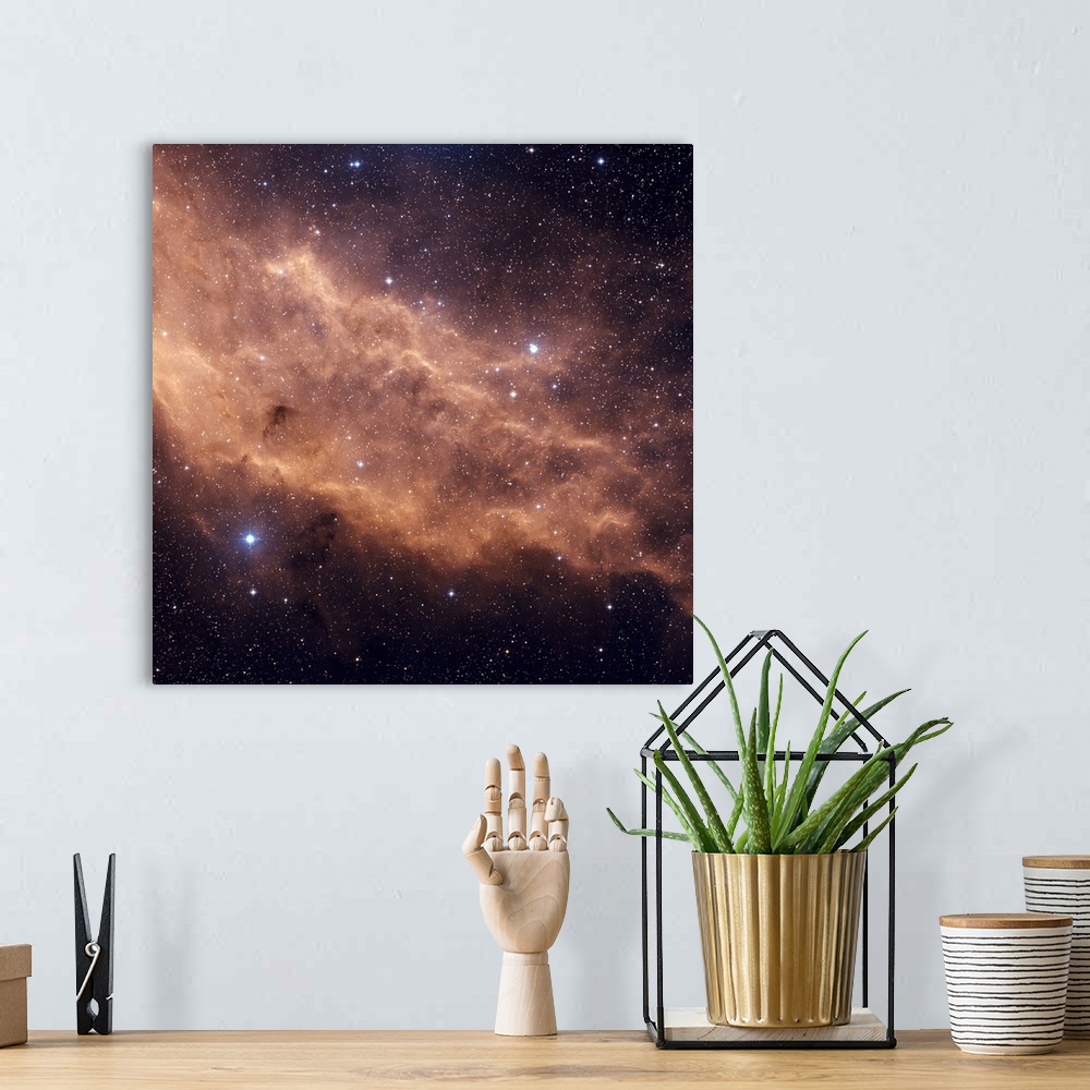 A bohemian room featuring The California Nebula