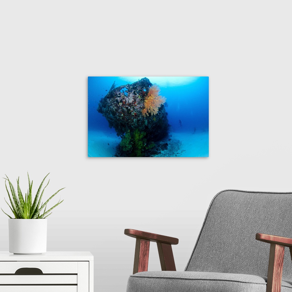 A modern room featuring The coral encrusted stern of the Japanese Cross Wreck.