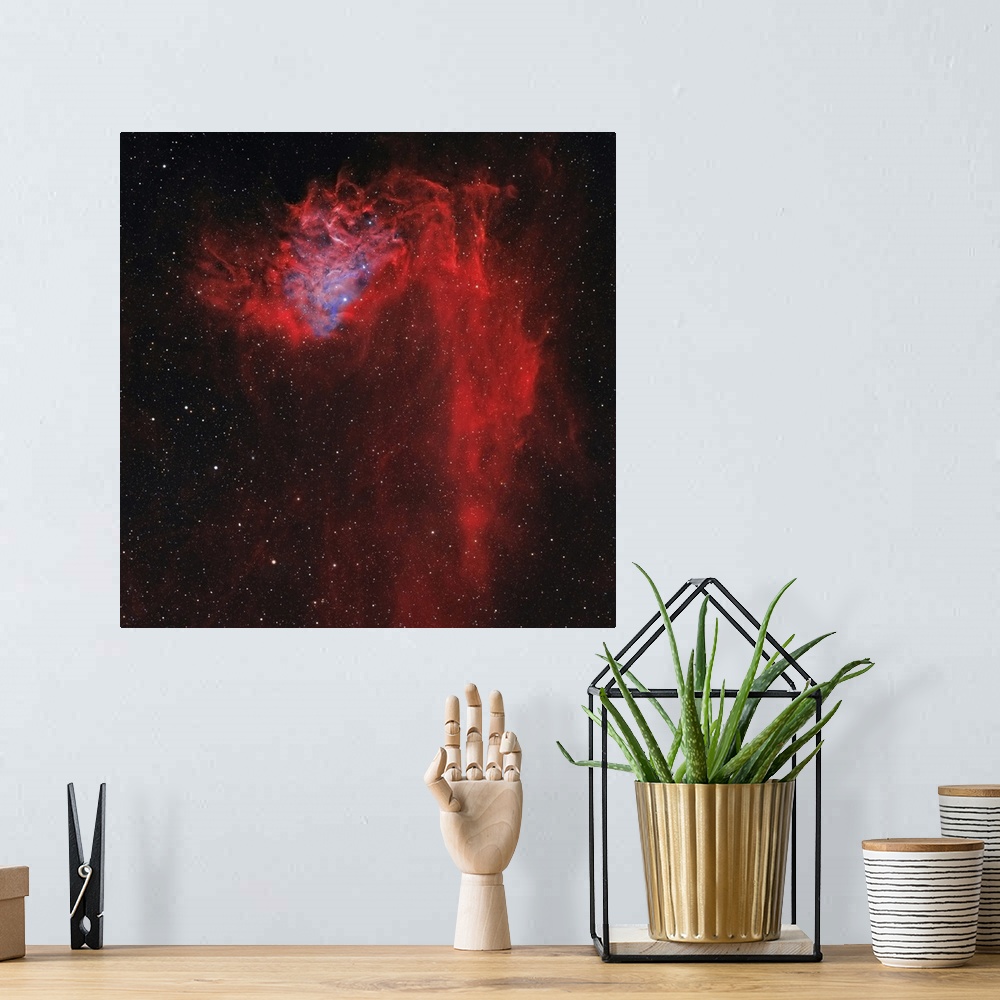 A bohemian room featuring The Flaming Star Nebula, also known as IC 405.