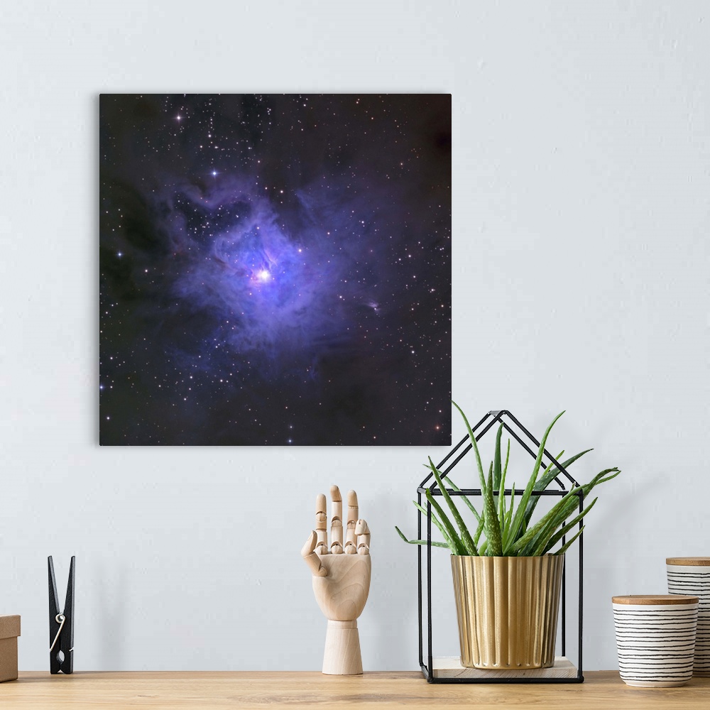 A bohemian room featuring The Iris Nebula