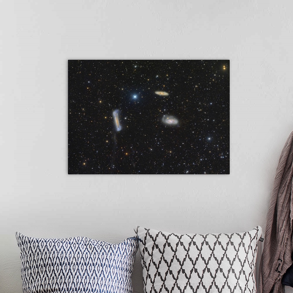 A bohemian room featuring The Leo Triplet